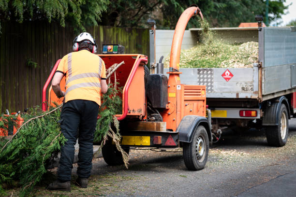 Best Lawn Maintenance Plans  in Booker, TX