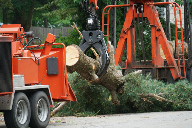 Best Tree Mulching  in Booker, TX