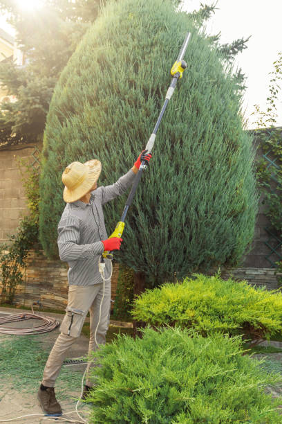 Best Sod Installation  in Booker, TX